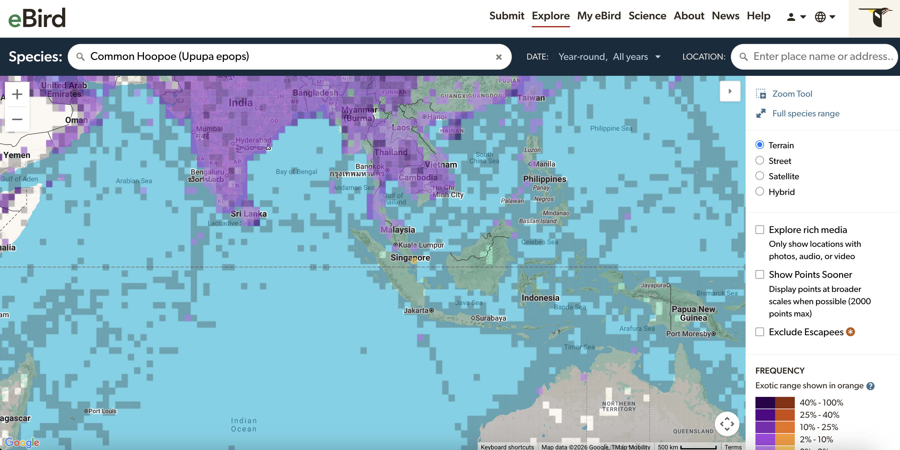 Recent Decisions from the Records Committee – Eurasian Hoopoe