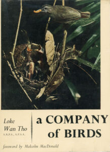 Loke Wan Tho – A Company of Birds