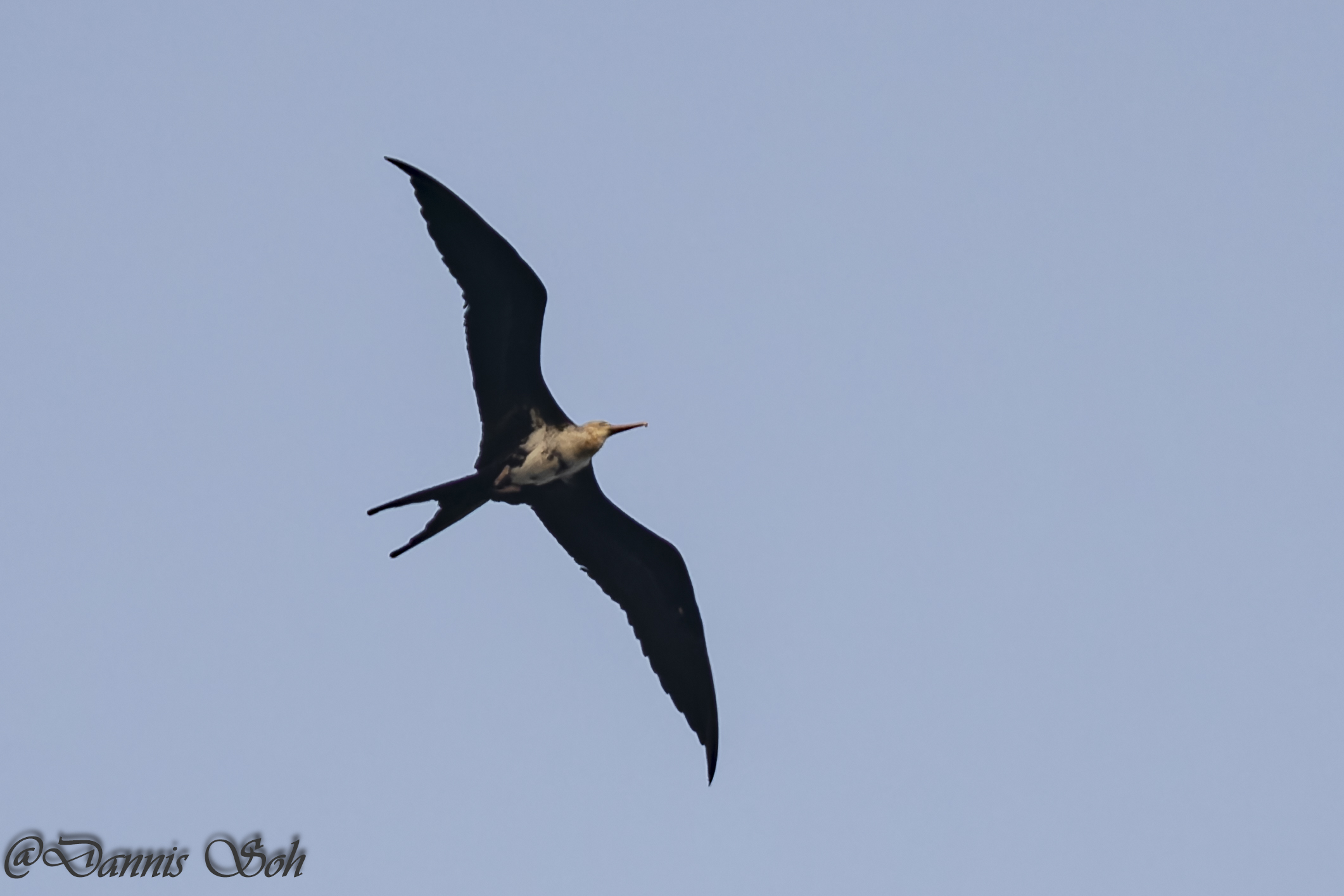 Monthly Roundup: Oct 2023