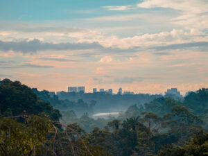 A Year at Jelutong Tower