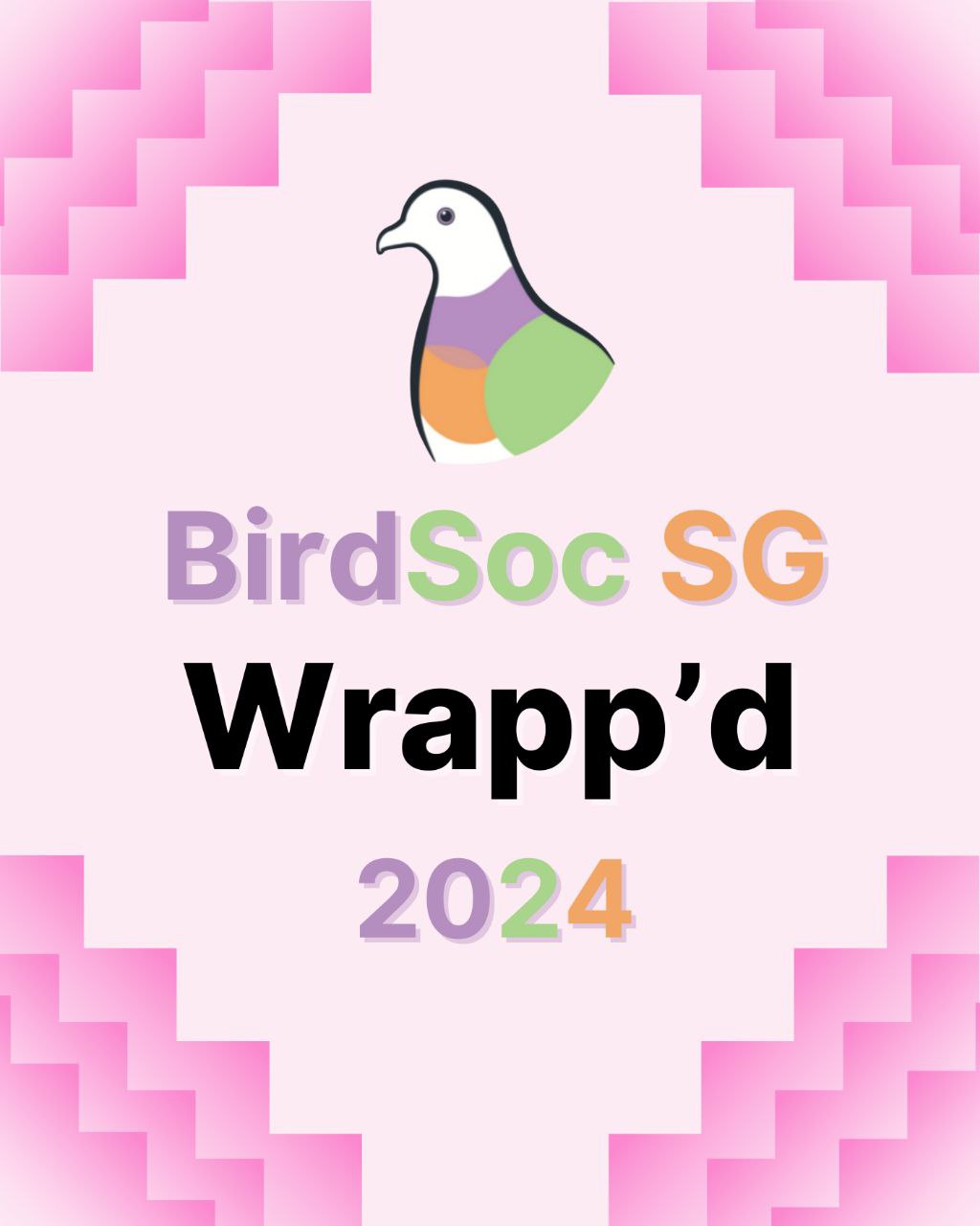 BirdSoc SG Wrapp’d 2024