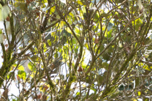 The value of a zero count