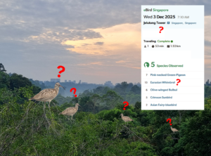 Why am I receiving emails from eBird moderators?