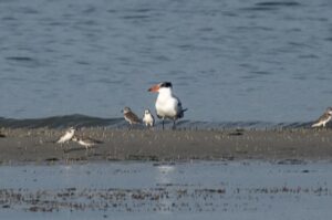 Quarterly Roundup: Oct-Dec 2025