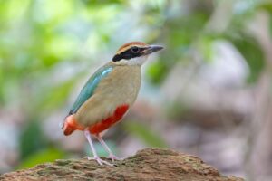 Quarterly Roundup: Jan-Mar 2026