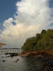 The Magical Land of Chek Jawa